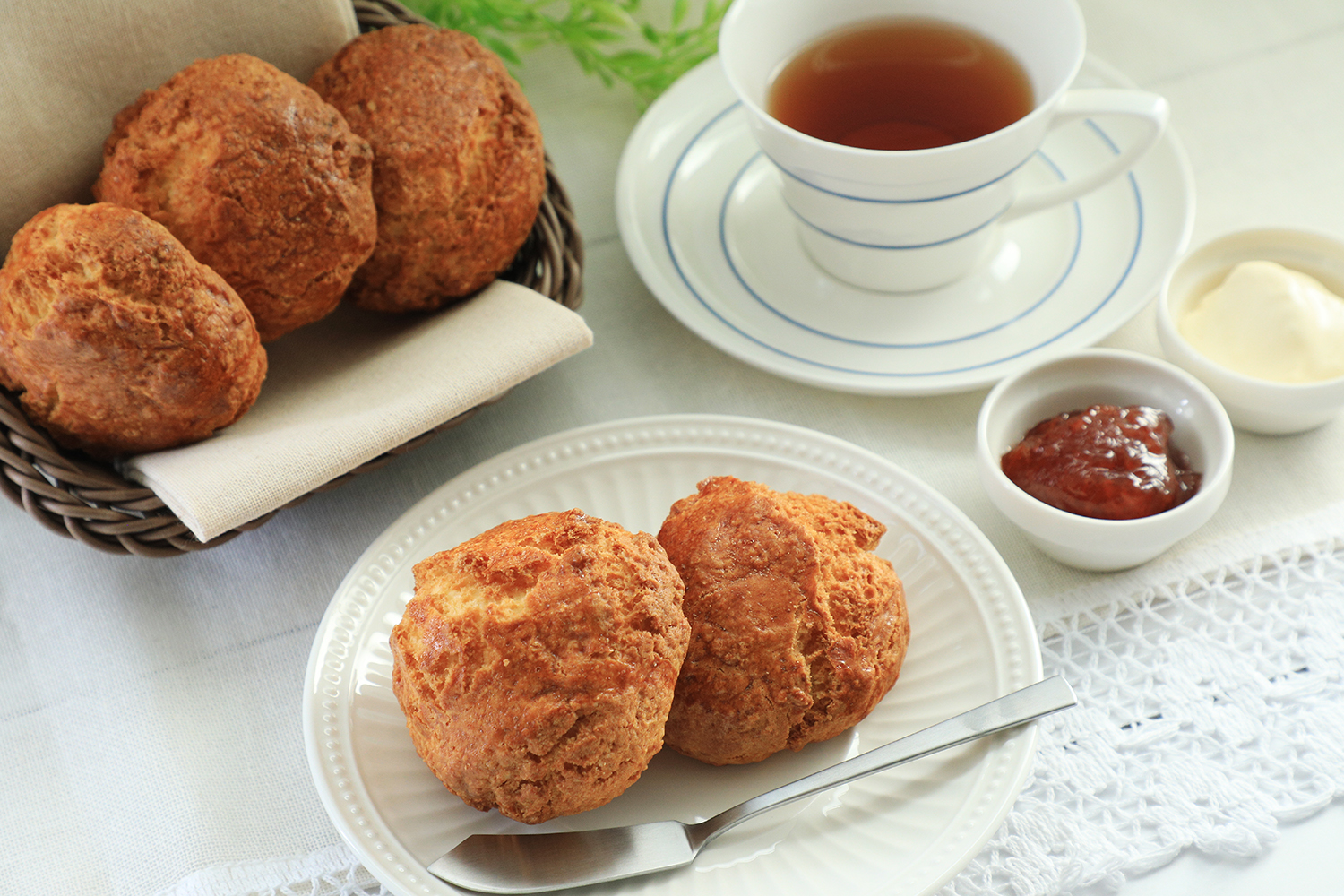 まえだのドーナツ　スコーン　オンライン販売