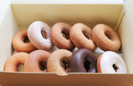 まえだのドーナツ定番10個セット 送料無料